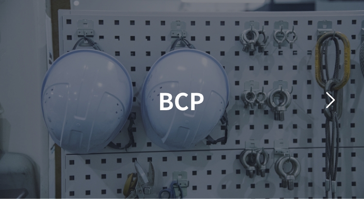 (BCP) Business Continuity Plan